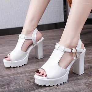 Dress Shoes For Women 2024 Fashion Buckle Strap Women's Sandals Mature Elegant Fish Mouth S Square Heel Solid Ladies