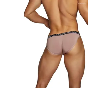 Underpants ORLVS 3pcs/lot Man Sexy Underwear Men Briefs Modal High Quality Mens Underware Ropa Interior Hombre Close Fit OR6102