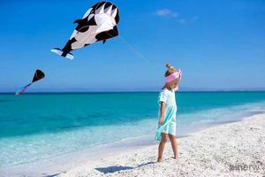 Kite Accessories New Arrive Outdoor Fun Sports Single Line Software Whale/ Dolphin Kite / Animal Kites With Handle and String Good Flying