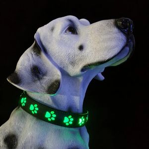 Coleiras china produtos para animais de estimação LED COLAR DE CÃO VENDAS QUENTES EM 2023 coleira de led para cães