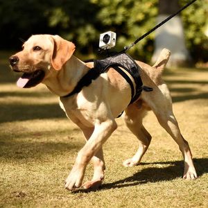 Seles Dog Harness Action Camera GoPro Pet Sports Video FPS Dog Bröst Rem axelstabilisator för medelstora stora hund husdjursmaterial