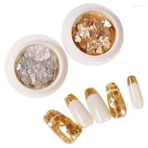 Nail Glitter 4Box Abalone Shell Art Flakes Gold Pearlescent Mica Slice Oregelbundet Fragment Stone Manicure Decorations LA2030-09