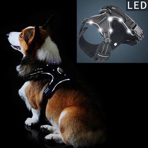 Geschirre Haustierprodukt LED-Geschirr Tailup Nylon Blinklicht Sicherheit Hundegeschirr Leine Seil Gürtel LED Hundehalsband Weste Heimtierbedarf