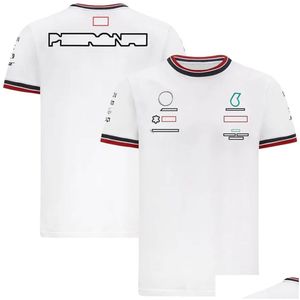 Camisetas masculinas Apparador de motocicleta F1 camiseta de lapela camisa de lapela FormA 1 Tops de mangas curtas carros Cure Roupas de secagem rápida podem ser personalizadas