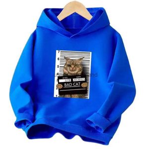 Hoodies tröjor barn dåliga kattmönster roliga hoodies pojkar/flickor vårens höstkläder barn söta djurtryck sportkläder240125