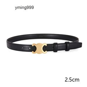 عارضة CEL NE CELI CELINS CELINS SELNES SEINE WOMENS DESITCHER BELTS للرجال النساء الأصليات الجلدية السيدات جينز حزام حزام دبوس حزام غير رسمي