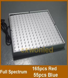 Whole 220 LED Blue Red Indoor Garden Hydroponic Plant Grow Light Panel 14 Watt Hanging Kit DHL UPS9057196