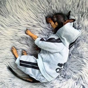 Hundkläder husdjurskläder fransk bulldogg valp hund husdjur jumpsuit chihuahua mops husdjur hundkläder för små medelstora hundar valp outfit