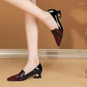 Elbise ayakkabı pompaları sığ ağız Afrikalı kadın ayakkabı yüksek topuklu ayakkabı işaretli ayak parmağı 2024 roman tarzı moda bordo sivri uçlar son bahar