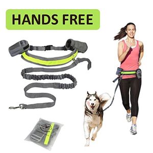 Trelas perfeitas para treinamento de caminhada, conjunto de coleira para cães, mãos livres, cão de estimação, gato, corrida, jogging, cinto de cintura acolchoado, tira reflexiva, trela elástica