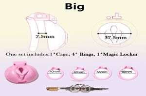 Sissy Pink Pussy Vaginal Cock Cage Small Devices With 4 Penis Rings Bondage Lock Slave SexToy For Man 220825481717