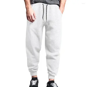 Pantaloni da uomo 2024 primavera e autunno esterno piccolo a scacchi jacquard guardia