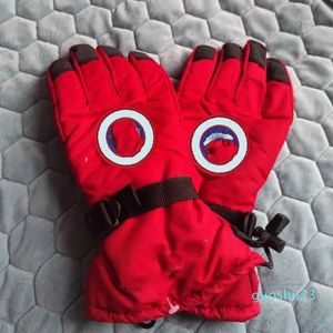 Mantens Designer Brand Winter Snow Glove Cykling utomhus Motorcykelskidåkning Vindtät kallbeständig skidbroderad