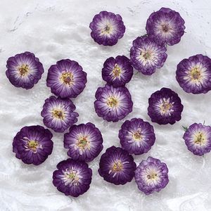 Dekorative Blumen Mini Rose Getrocknete Blütenblätter DIY Epoxy Gummi Handyhülle Po Rahmen Geprägte Anhänger Halskette Schmuckherstellung