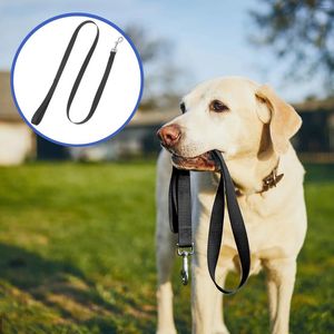 Hundehalsbänder, Haustier-Traktionsgürtel, Welpen-Lanyard-Leine, kleine Leinen zum Gehen, Nylon-Seil, Laufen, Ziehen, LED-Hunde