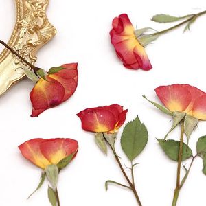 装飾的な花7-9cm/12pcsプレスネオンバブルローズミニブランチドライフラワーディーブックマークPOフレーム植物標本ドロップグルーテーブルランプ