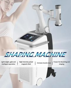 2 I 1 Multifunktionell robot Beauty Age AI Intelligent EMS Freeze Hi EMT Bygg Stimulering Freezing Fat Burn Cooling Cellulite Borttagning Beauty Machine