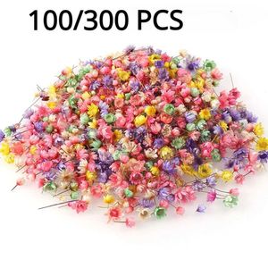 Faux Floral Greenery Dried Flowers Brazil Little Star Flower DIY Craft Epoxy Resin Candle Nail Art Filling Making Jewellery Free Shipping YQ240125