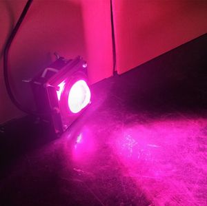 COB Lead Grow Lights Control Full Spectrum LED 60W växt tillväxtlampa inomhus Vegetabilisk köttig blommor Hydroponic Cultivation SupplyM7074811