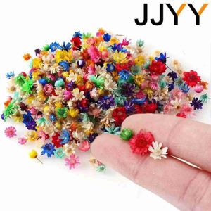 Faux blommor grönare jjyy 1 pack /100 st multicolor mini torkade blommor diy konst hantverk epoxi hartsljus gör smycken hemfest dekorativ yq240125