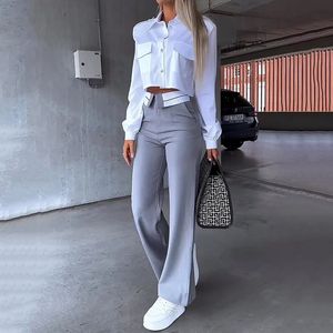 Sonbahar Kış Kadınlar İki Parçalı Set Office Basit Katı Yakası Uzun Kollu Beyaz Gömlek Top Gri Pantolon Blazer Zarif Y2K 240125