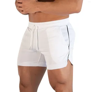 Herren-Shorts, Farbe Brace, solide, schnell trocknend, Sport, Strand, mehrfarbig, Hose, athletisch, Netzstoff, Herren