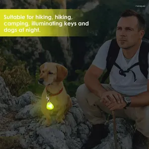 Triângulo de colarinho de colarinho de cachorro LED LUZ GLOWLENTE AJUSTÁVEL Ajustando recarga anti-perdida luminosa para caminhada noturna