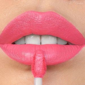 Lip Gloss 6 Colors Matte Nude Waterproof Lasting Non Sticky Cup Red Brown Glaze Velvet Moisturizing Tint Makeup Cosmetic