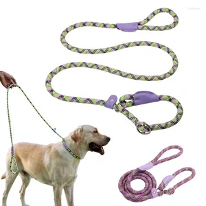 Obroże dla psów trwały nylonowy łańcuch p dla średnich dużych psów trening poślizgowy ołów puppy duży smycz kołnierz mops traction Mascotas smyczy