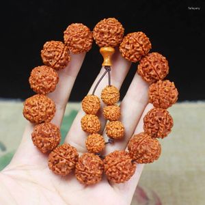 Strand 5 Mukhi Rudraksha Bodhi pärlarmband Nepal Jingang Pipal Tree Seed