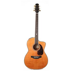 LTD2022 60th Anniversary Acoustic Guitar
