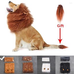 Abbigliamento per cani Parrucca da leone per cani di taglia grande Abiti cosplay Costume di trasfigurazione Capelli caldi Accessori per feste di Natale Inverno