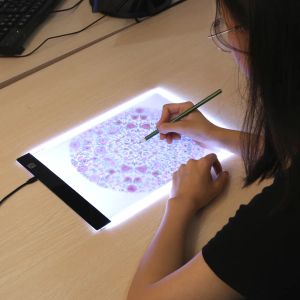 供給新しいLED照明コピーボードライトパッド描画タブレットトレースパッドスケッチブックブランクキャンバスカラーペンシルアクリルペイントのための空白キャンバス