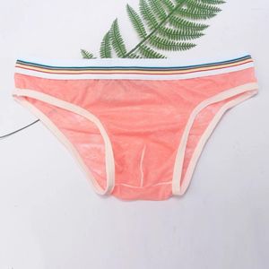 Cuecas masculinas sexy de seda gelo baixa ascensão malha respirável breve roupa interior ver através sólido confortável sem costura cuecas masculinas