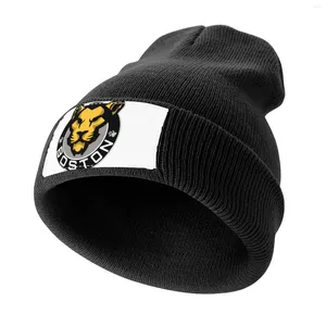 Berets Pride Logo Knitted Cap Golf Hat Fishing Military Man Cosplay Men's Hats Women's