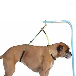 犬のアパレルスリングアーム猫ループロープ犬グルーミングペット調整可能な縄ダブルテーブルロープサプリーズペットバスパピータブ