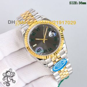 Panie Watch 36 Watch Watches Watchs CleanFactory Ruch Automatic MECHANical Luksusowa kobieta zegarek na rękę