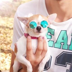 Hundkläder Cat Pet Glasses Solglasögon Little Eye Wear Pos Props Accessories Supplies for Products