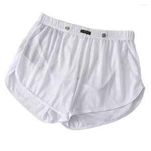 Underbyxor män sexiga underkläder trosor seethrough mesh lounge boxer shorts mellertid midjan underkläder flera färger s xl storlekar