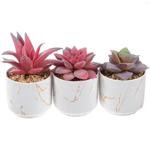 Decorative Flowers 3 Pcs Gold Pattern White Background Ceramic Cup Artificial Succulents Fake Potted Plants With In Pots Mug Basin Office
