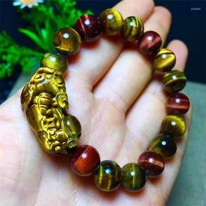 Braccialetti con ciondoli Bracciale in pietra naturale di colore occhio di tigre all'ingrosso perline e Pixiu per gioielli energetici da uomo donna