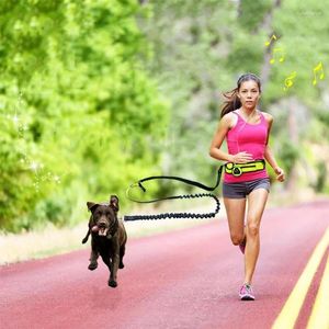 Coleiras de cachorro mão livre trela com saco de cintura cinto ajustável cinta de peito tração corda reflexiva pet andando correndo jogging