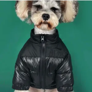 Apparel hundens ansikte hund ner jacka varma hundar vinterrock husdjur kläder franska bulldog kläder samll medelhundar outfit jumpsuit