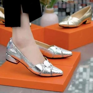 Dress Shoes Spring Autumn Shallow Mouth Women's Fashion Casual All-match Mid-heel Gold Sliver Big Size High-heeled Women