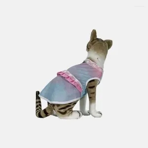 Trajes de gato para animais de estimação roupas legais para pequenos, médios e grandes