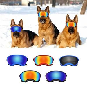 Hundebekleidung, modische Brillen, verstellbare Pos-Requisiten, Anti-UV-Pflegebrille, Haustier-Augenschutz, Sonnenbrille