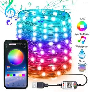 Strings USB Smart Bluetooth LED Copper Drut Light 5m/10m/20m/30m Aplikacja Kontrola choinki