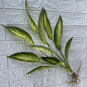 Dekorativa blommor Konstgjorda plantainblad med rötter Gröna växter Plastisk falsk blommor krukut utan pot -simulerad växtkorridor el
