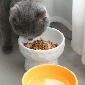 Alimentadores de cerâmica para gato, tigela para cachorro, comida para animais de estimação e tigela de água, alimentador com suporte elevado, osso, china, proteção cervical, comida, água, tigela de gato