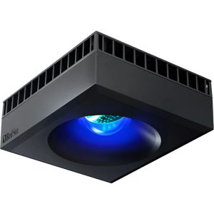 Aydınlatmalar kırmızı deniz resif LED lamba 50W 90W WiFi Program Coral Spec Aquarium Tuzlu Su Işığı Kırmızıl